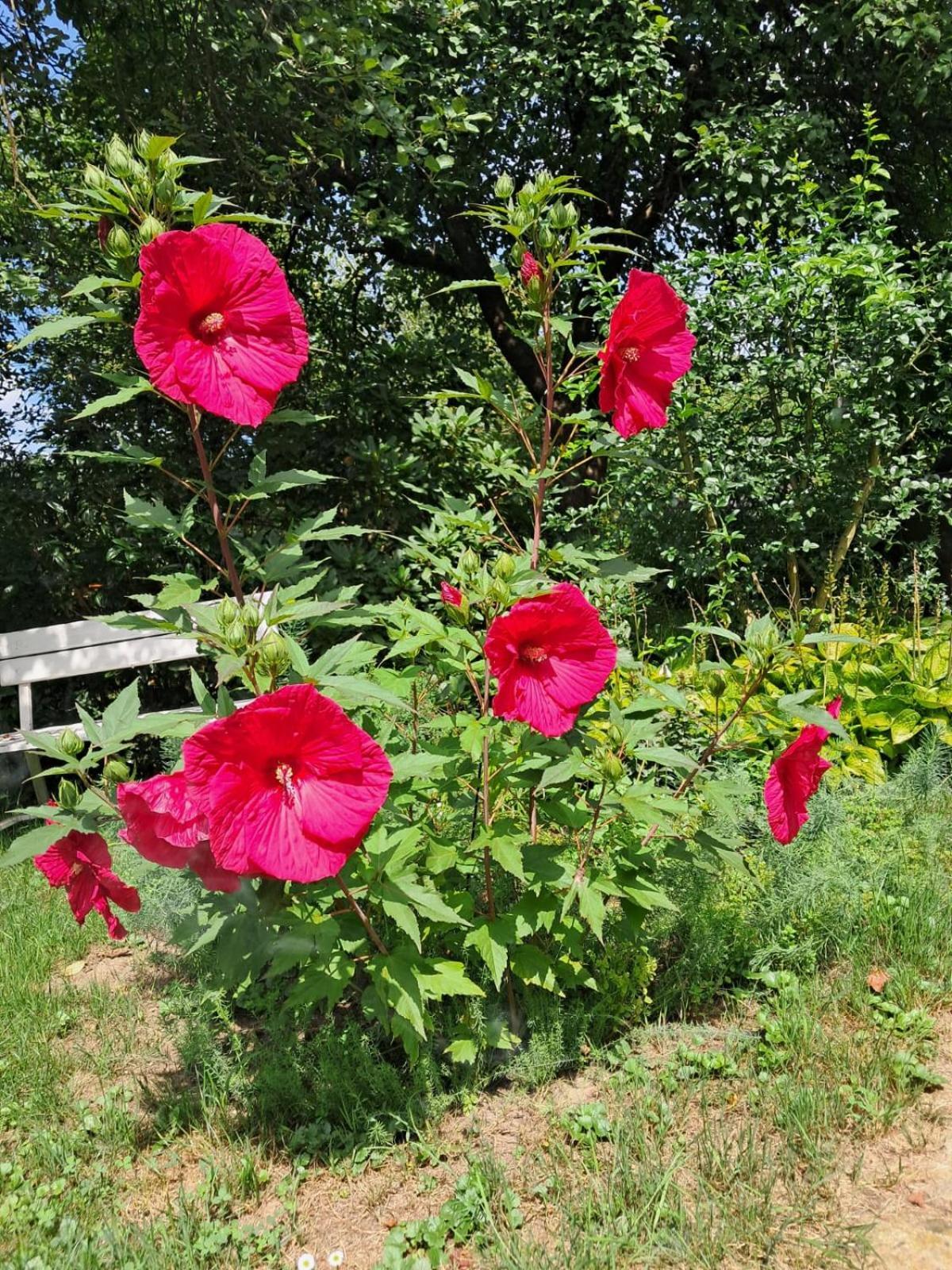 Agroturystyka Nad Bobrem Pilchowice Bagian luar foto